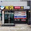 제주복어 이미지