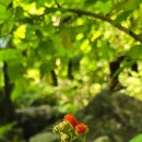 적목리 용소폭포 화장실 이미지