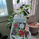 봉오리농장 이미지