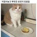 (주)아주 이미지