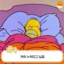 내몸밸런스 Daum카페