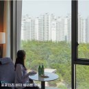 런드리투데이 - 동작구 노들로2길 7 | 포포인츠 바이 쉐라톤 수원 수영장 조식 프리미어 객실 후기