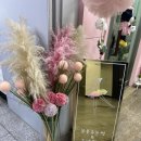 4969피자 이미지