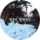 팔꽁이 | 팔공산 고기집 팔꽁이 캠핑식당 맛집