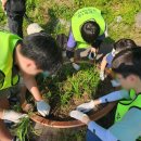 청명초교 이미지