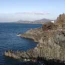 비자림빌리지2 이미지