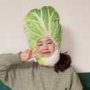 모자야채