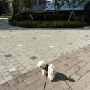 가영이네농장 이미지