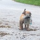 (주)코리도어 이미지