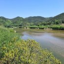 애국지사 조재만선생 | 예천 풍양면 대동산, 쌍절암생태숲길