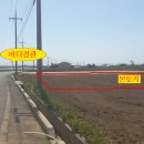 제주사랑공인중개사사무소 이미지