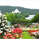 조선대학교 이미지