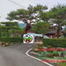 파주광탄부동산공인중개사사무소 이미지