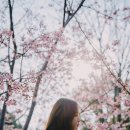 스마트 솔루션