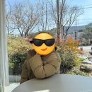 노멀즈커피