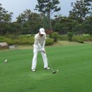 라운딩 이미지