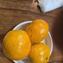 금왕 솥뚜껑 부대찌개 삼겹살 이미지