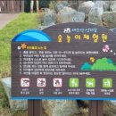 대운산자연휴양림 이미지