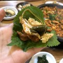 대명오리 이미지