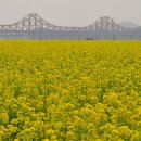 낙동강변19 이미지