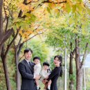 월명 일식 이미지