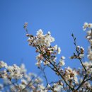 능서레포츠공원 축구장 이미지