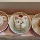 펫츠까까 이미지