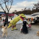 학마을캠프 이미지