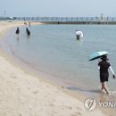 광암 이미지