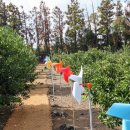 하율농장 이미지