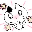 애견백화점 동탄점 이미지