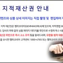 멀티태양광발전소 이미지