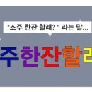 한잔할래? 티스토리
