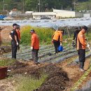 영동소방서 학산119안전센터 이미지