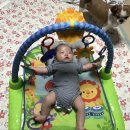 유호체육관 이미지