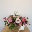 홍성화원 이미지