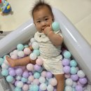 베스트웨이 | 가성비 끝판왕 베스트웨이 에어 볼풀장 후기와 볼풀공 세탁 방법!