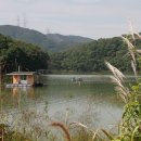 고삼호수로 네이버블로그