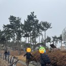 3월 진도 가족여행 사진모음zip