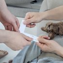 3315 김한울 이미지