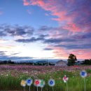 나왔다농장 이미지