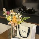 [패션] 셀린느 스몰 트리옹프 벨트 후기 / 오빠 생일선물 언박싱 &amp; 청치마 코디 팁!