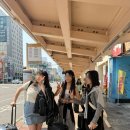 타이라오 이미지