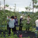 사랑농장 2 이미지