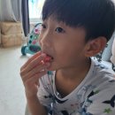 도노디비노