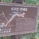 백의2교