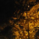 황토우렁쌈밥 이미지