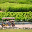 신원내동마을 이미지