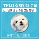 삼송사랑 동물의료센터 이미지