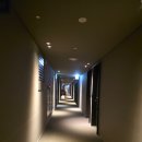 신라스테이 광화문 | 신라스테이 광화문 호캉스 후기, 룸 컨디션, 어메니티